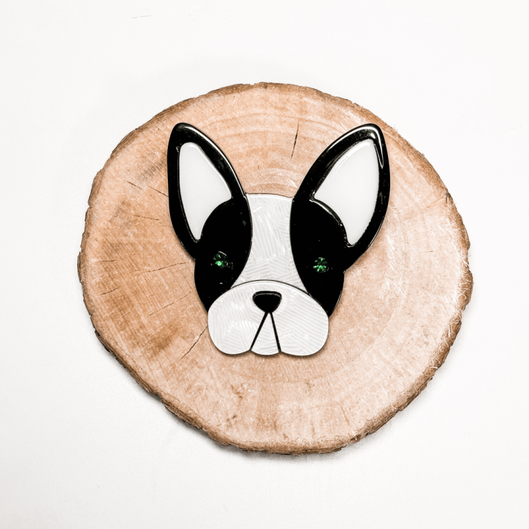 101buldogow_broszka_boston.png